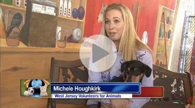 Shelter Me: West Jersey Volunteer for Animals